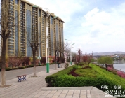 春季·东湖  （随拍）